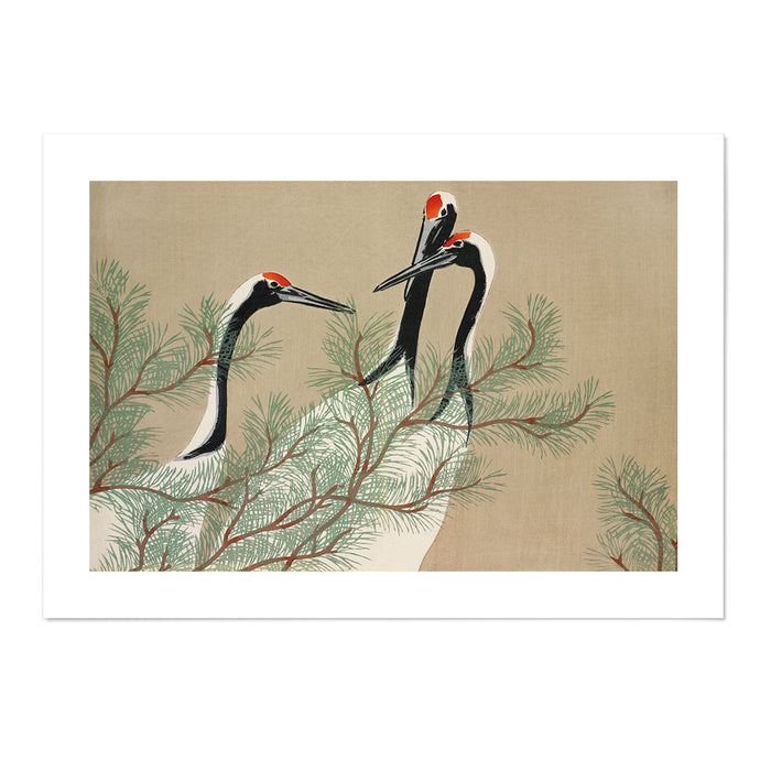 Cranes from Momoyogusa