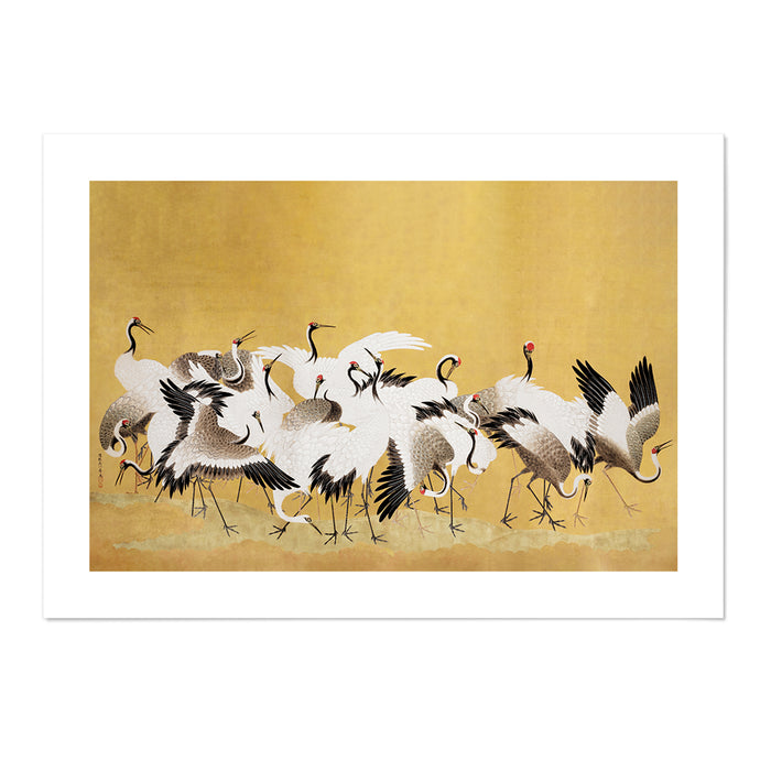 Flock Of Cranes
