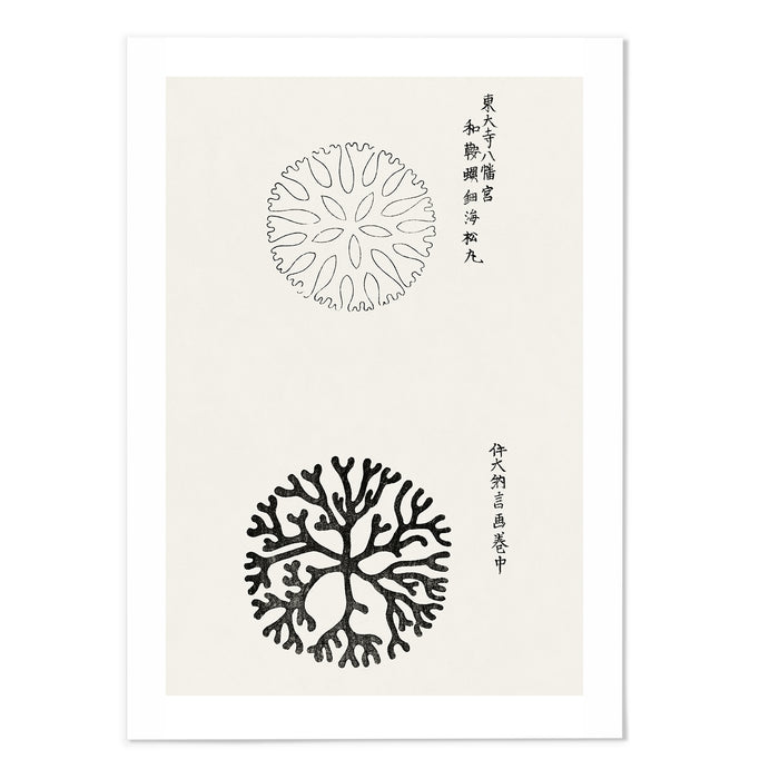 YATSUO NO TSUBAKI II