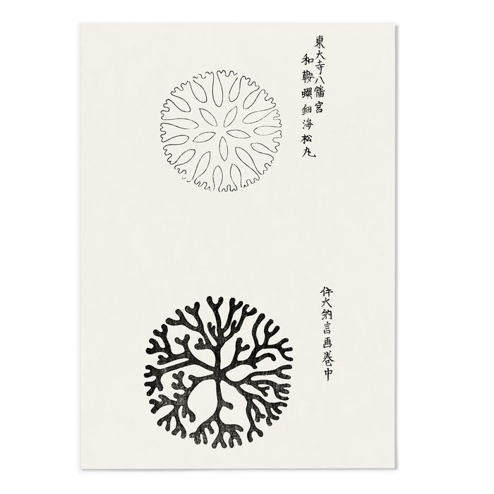 YATSUO NO TSUBAKI II
