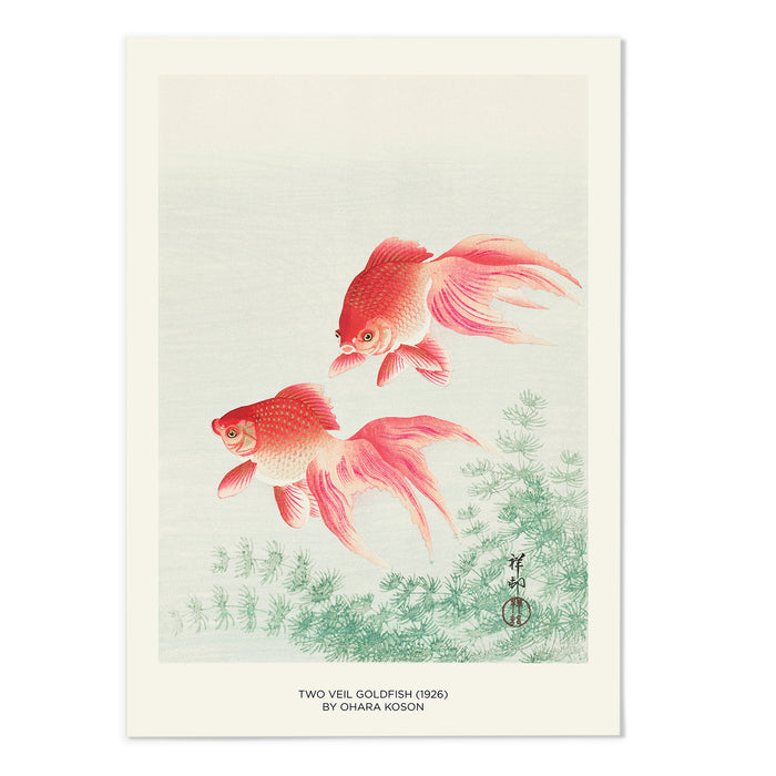 Two Veil Goldfish Text Version