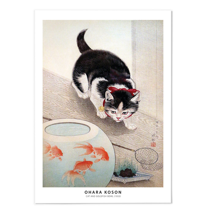 Cat and goldfish bowl Text Version