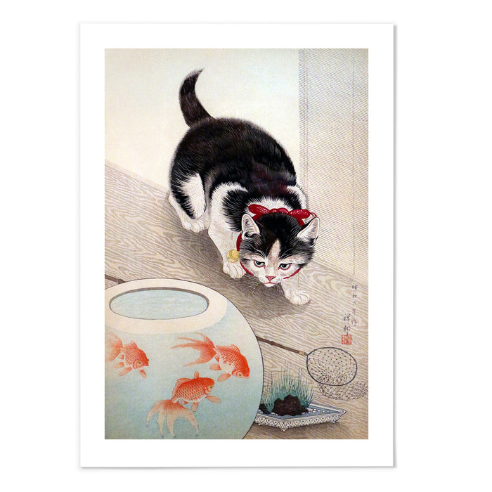 Cat and goldfish bowl