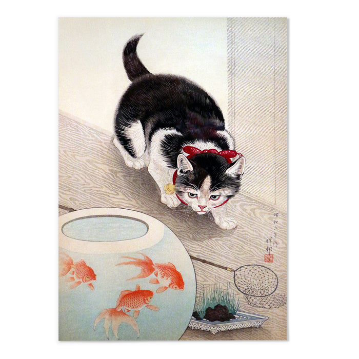 Cat and goldfish bowl