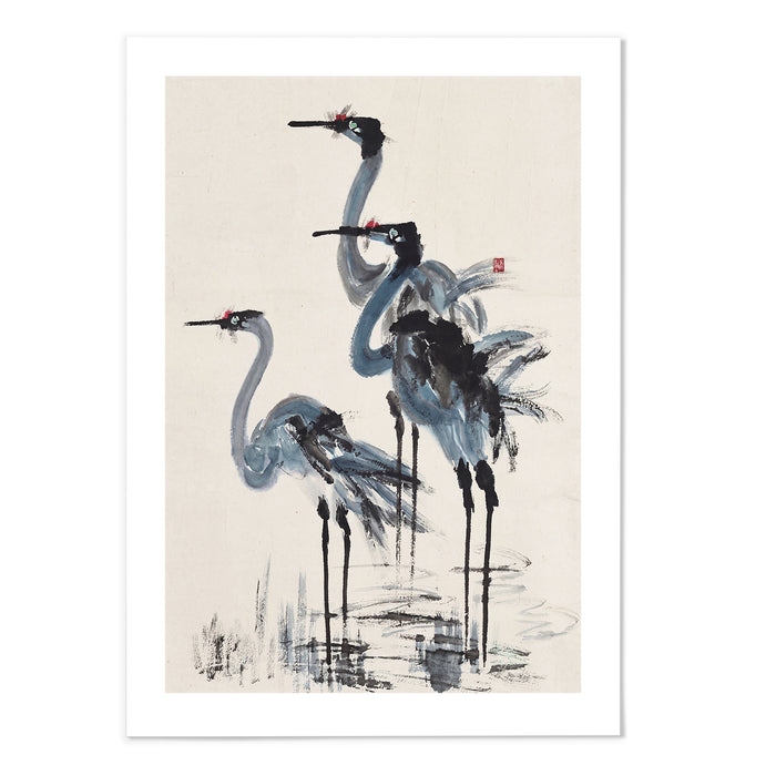Blue Crane II