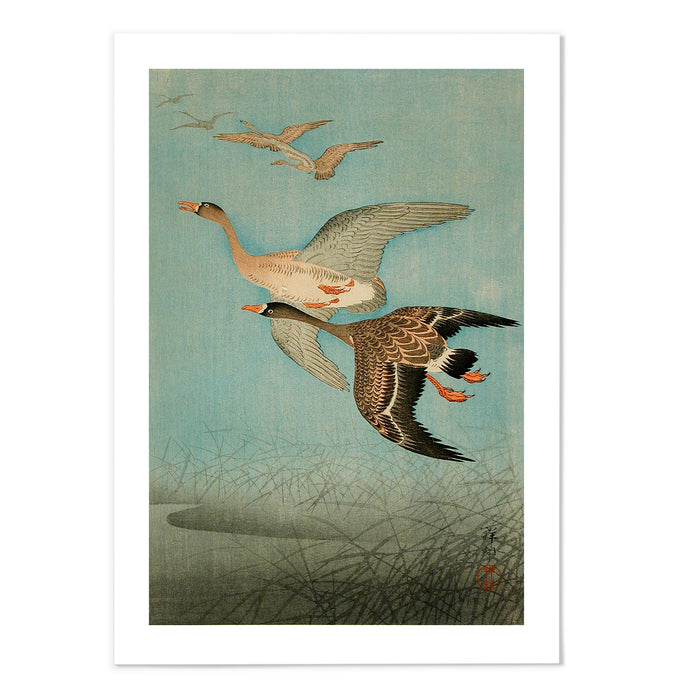 Flying Geese