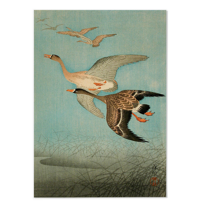 Flying Geese