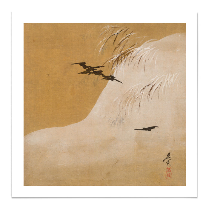Birds in Snow