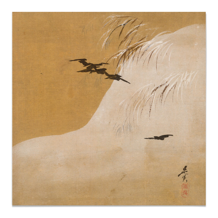 Birds in Snow