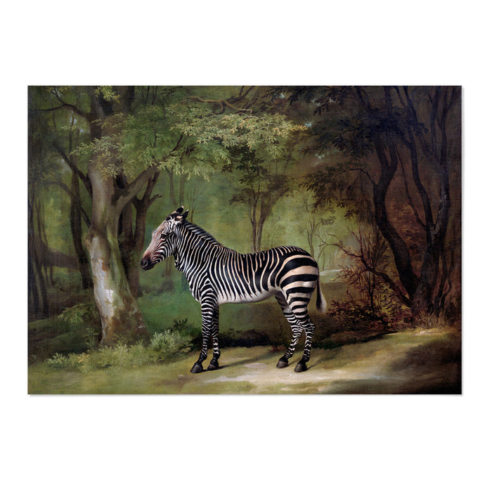 Vintage Zebra