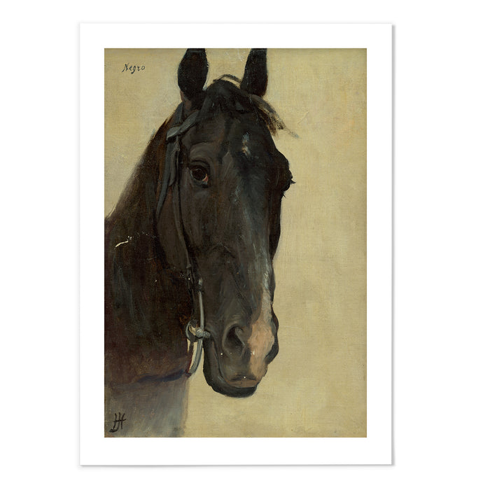 Study of the head of a negro horse