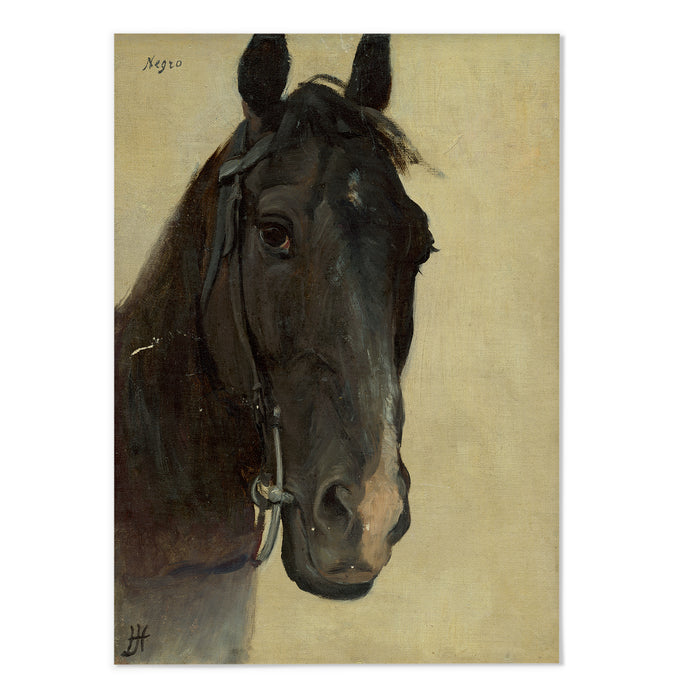 Study of the head of a negro horse