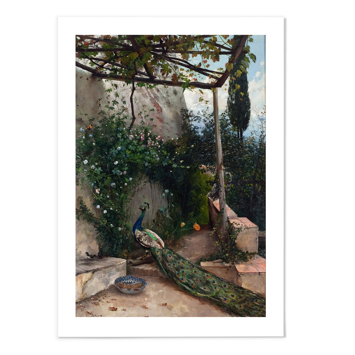 Terrace With Peacock, The Alhambra