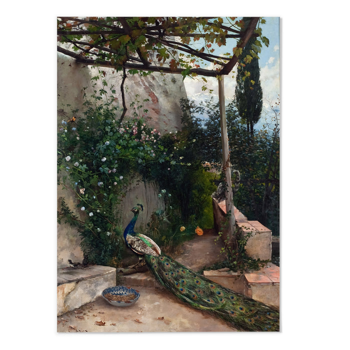 Terrace With Peacock, The Alhambra
