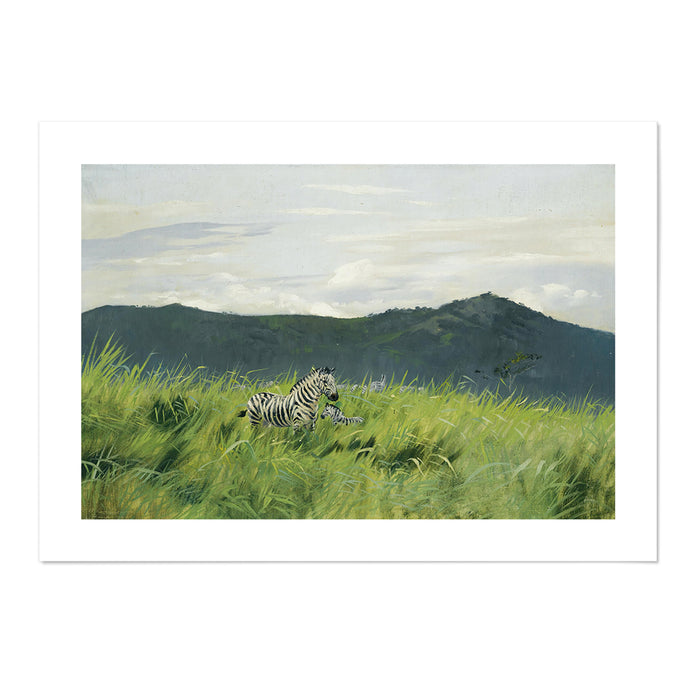 Zebra On The Steppe