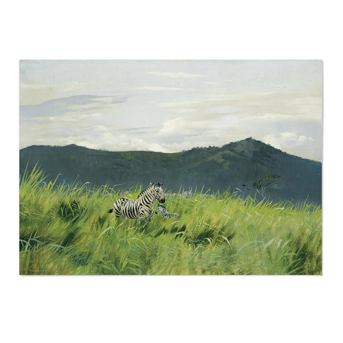 Zebra On The Steppe