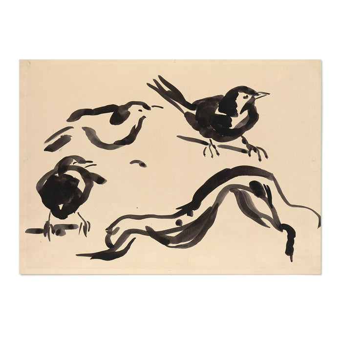 Study of Blackbird