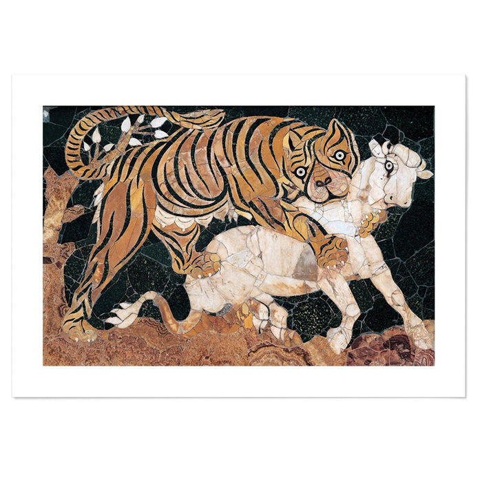 Tiger attacking a calf