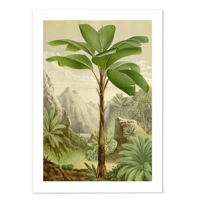 Vintage Palm Tree