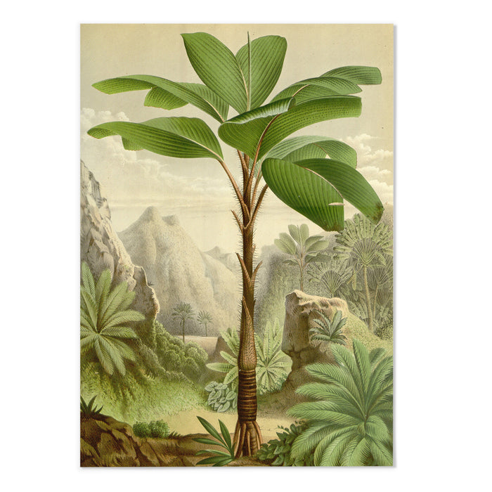 Vintage Palm Tree