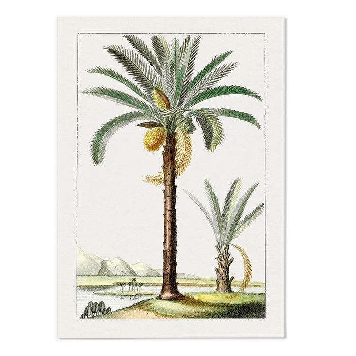Hand drawn palm tree I