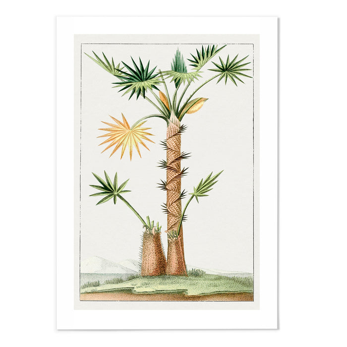 Hand drawn palm tree II