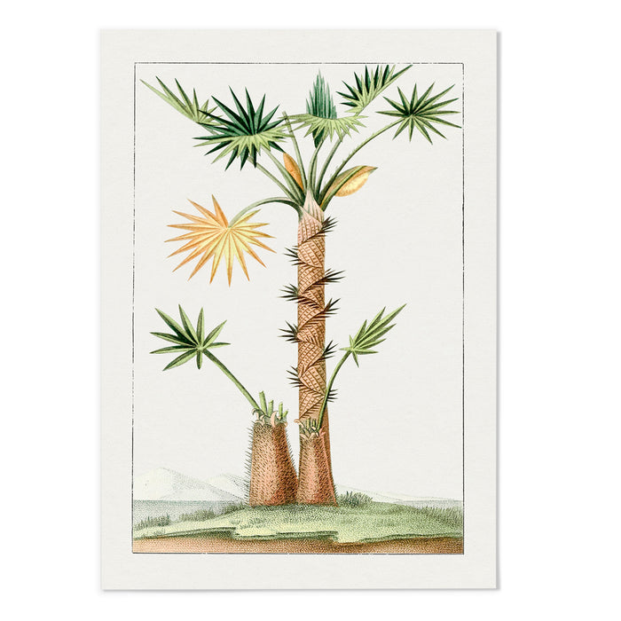 Hand drawn palm tree II