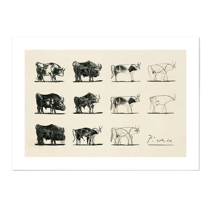 Cow Studies Picasso