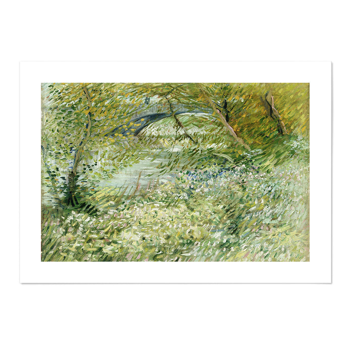 River Bank in Springtime