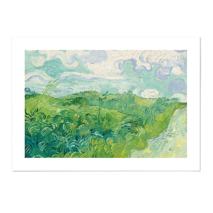 Green Wheat Fields
