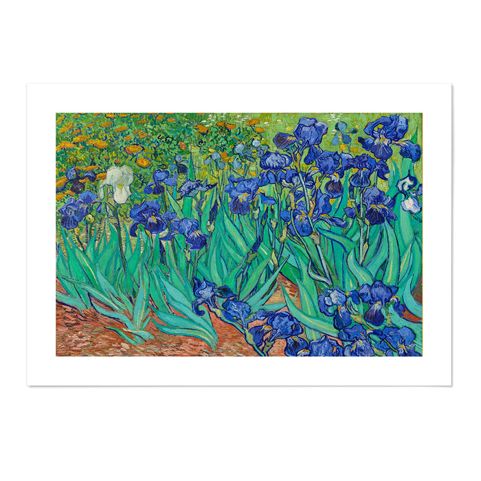 Irises 1889 Art Print - MJ Design Studio