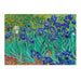 Irises 1889 Art Print - MJ Design Studio