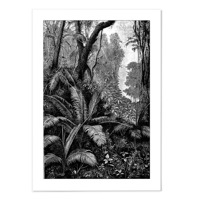 Jungle Etch I