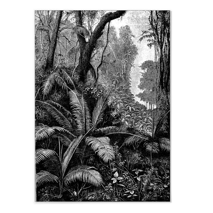 Jungle Etch I