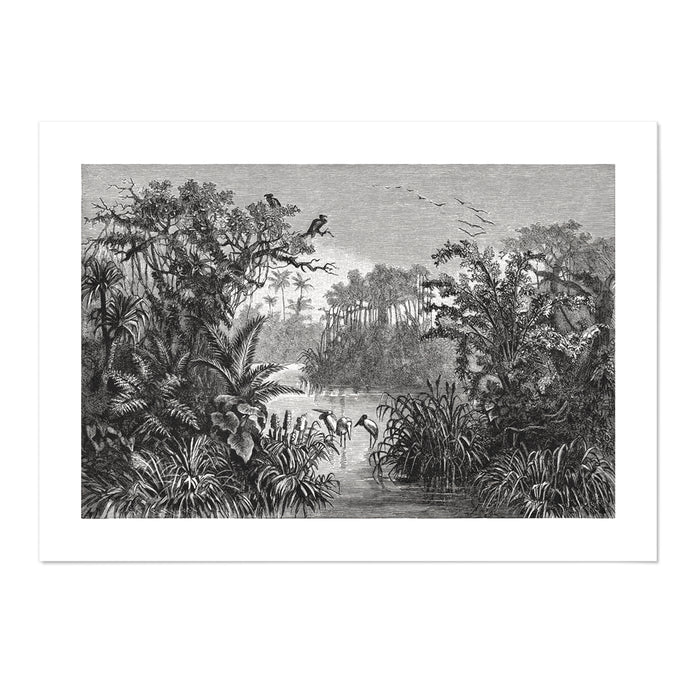 Vintage Jungle VI