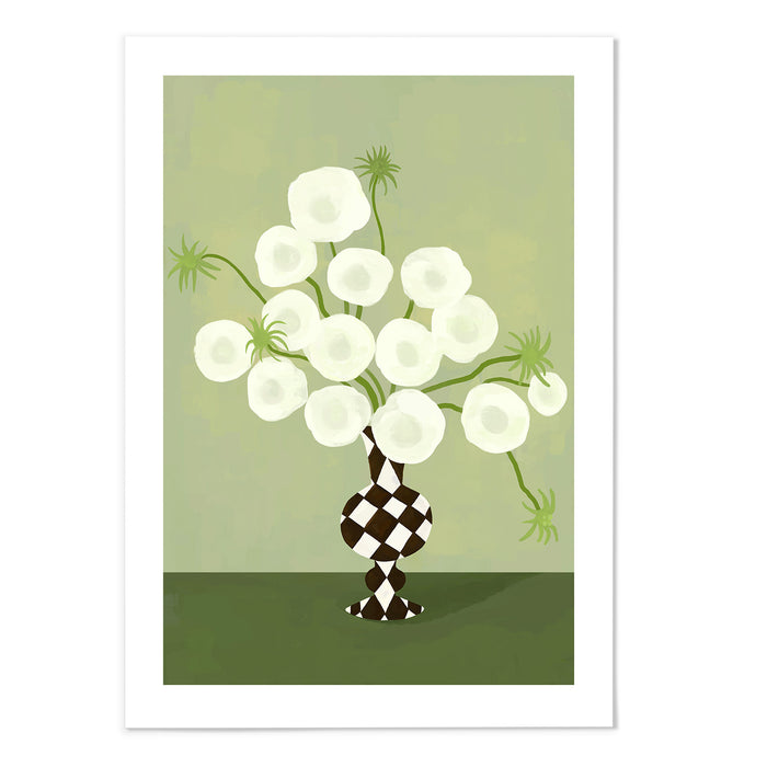 White Poppy