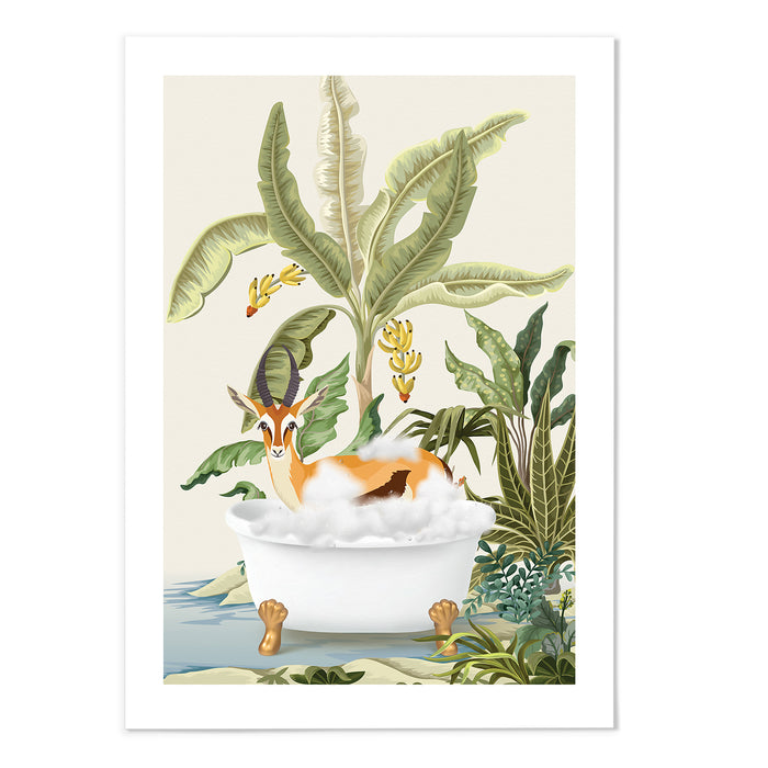 Springbok Jungle Bathing