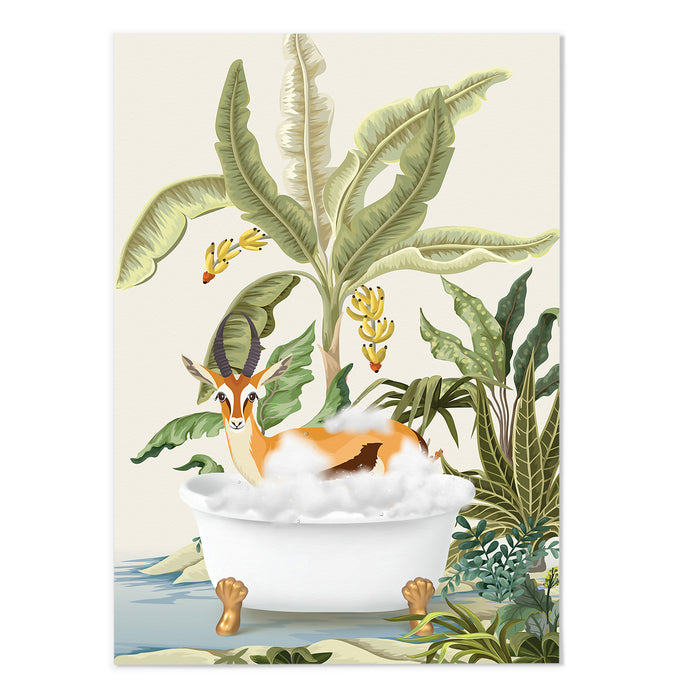 Springbok Jungle Bathing