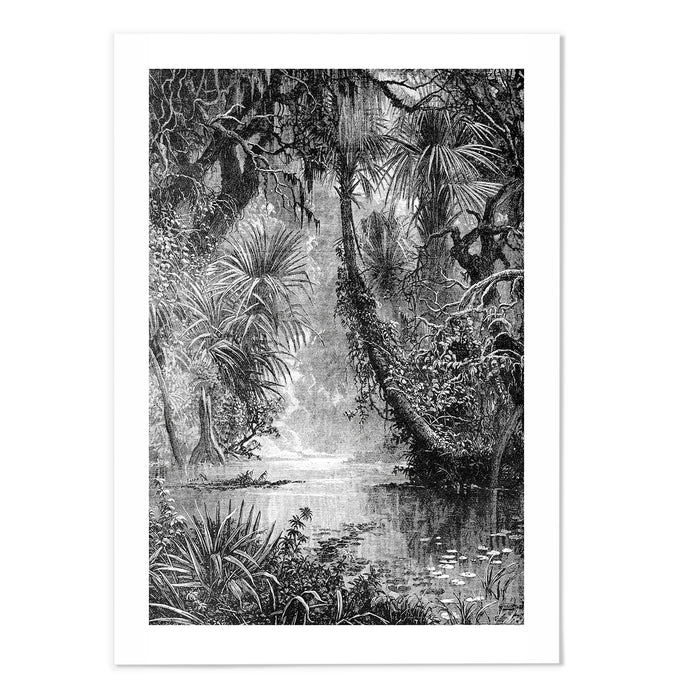 Vintage Jungle IV