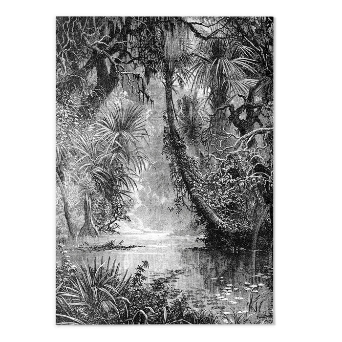 Vintage Jungle IV