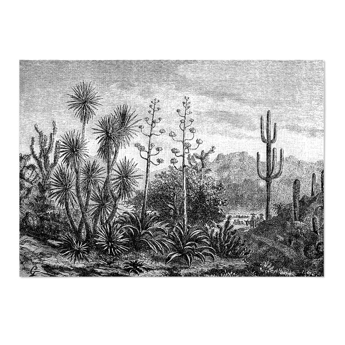 Vintage Etching Cactus