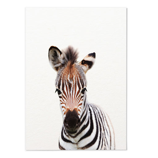 Zebra Photography Print - MJ Design Studio