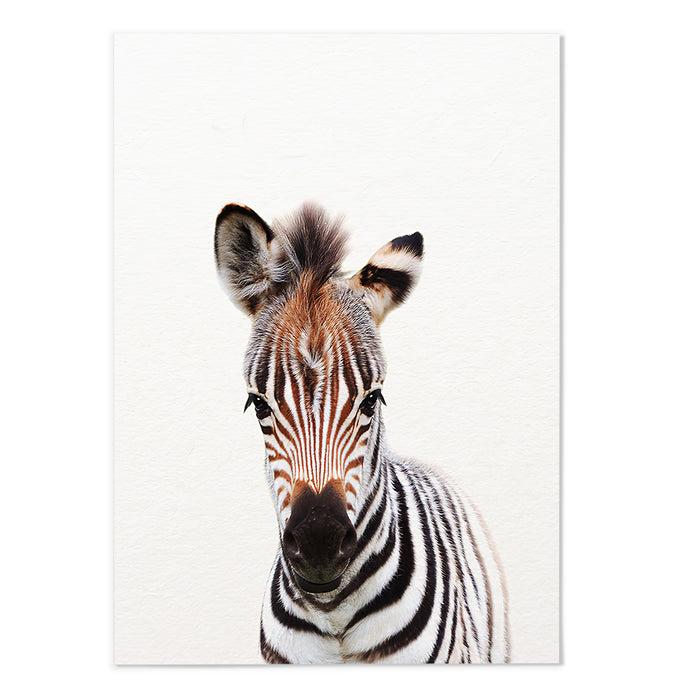 Zebra Photography Print - MJ Design Studio