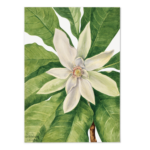 Umbrella Tree Art Print - MJ Design Studio