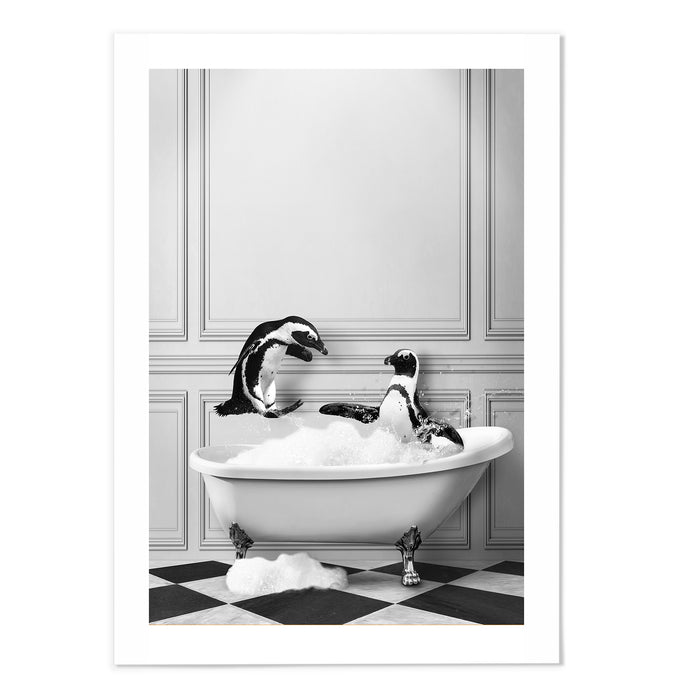 African Penguins Bathing