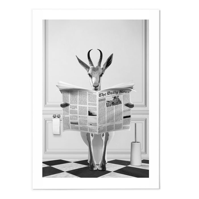 Springbok Reading On Toilet