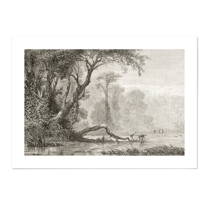 Vintage Jungle III