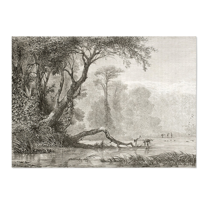 Vintage Jungle III